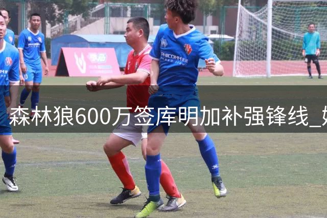 森林狼600万签库明加补强锋线 媒体称这是一笔超值交易