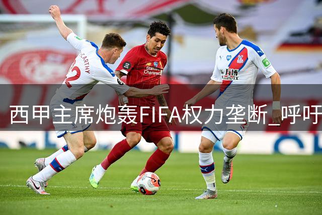 西甲主席炮轰FIFA权力垄断 呼吁全球足坛罢免因凡蒂诺