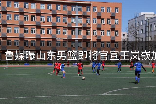 鲁媒曝山东男篮即将官宣王岚嵚加盟 外援引进同步推进