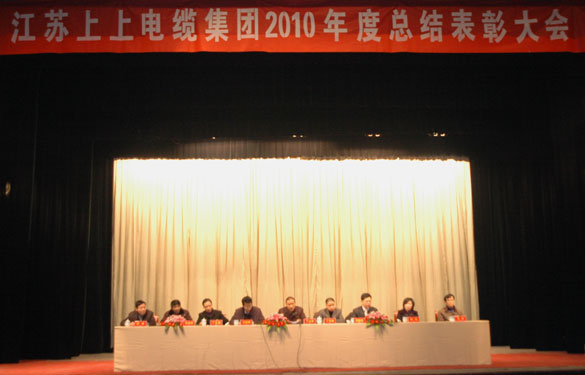 bwin必赢隆重召开2010年度总结表彰大会