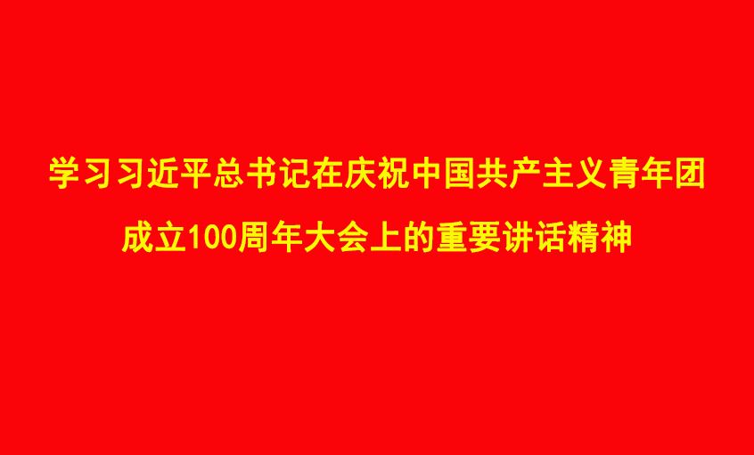 习总书记的讲话在必赢官网青年员工中引发热议